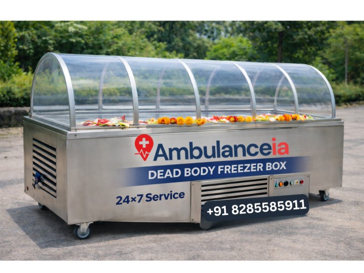 Dead Body Freezer Box on Rent in Gurgaon